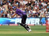 篮球明星的 篮球明星的