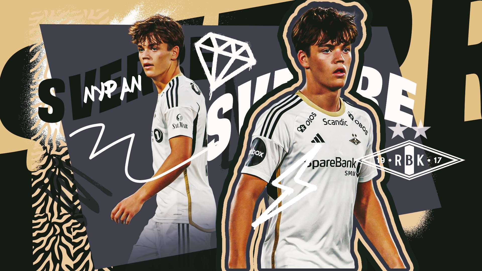 顽强的斗志 顽强的斗志