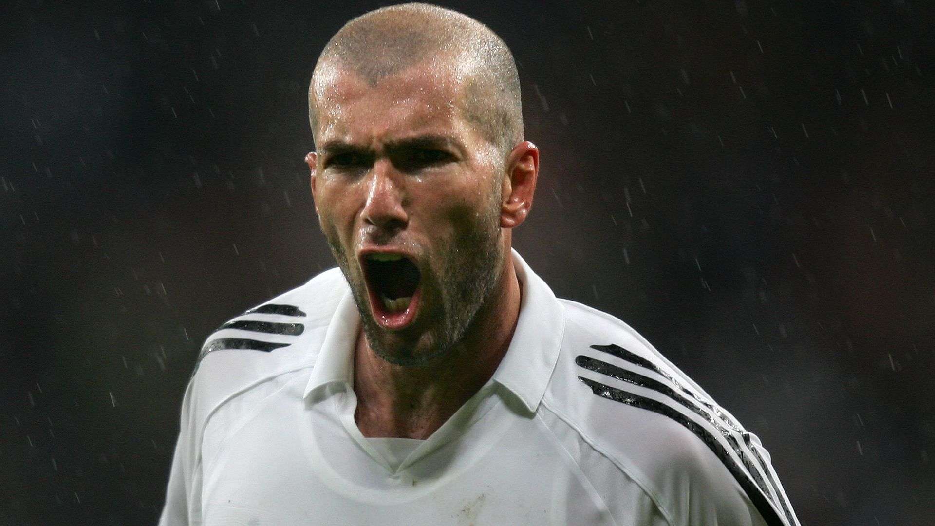 练皮尔洛的 练皮尔洛的